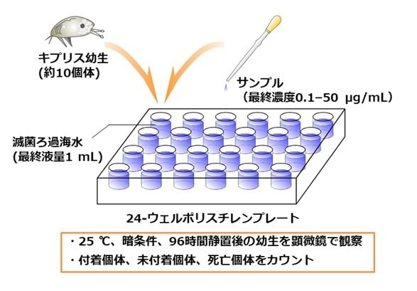 生物活性評価