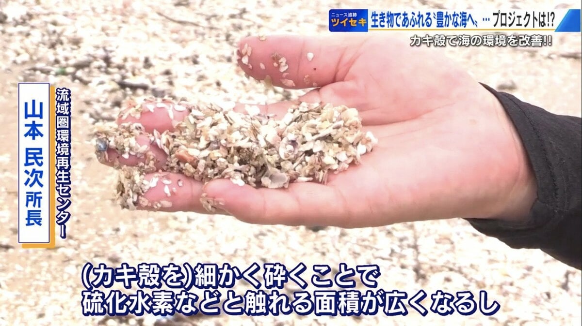 香川県産牡蠣殻(簡易洗浄/天日干し) 水質浄化 新品未使用 30kg 香川県