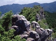 【豊橋市】それ！天然記念物！！知らなかった・・・では済まされない、わたしたちの大切な文化財