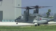 江戸前「こはだ寿司」は大丈夫か?オスプレイの騒音で魚がいなくなる?コハダ水揚げ量減少を心配する有明海の漁業者