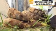 表年の今年は去年より300キロ増の800キロ　金沢・内川たけのこまつりで旬の味覚が2時間で完売