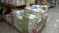 コメ価格下落　農家からは「収穫しない方がいい」の声も　専門家は今年の新米価格「5kg3000円前後」と予想