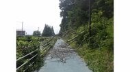 公園で倒木…中学生が負傷 通学路をふさぎ通行止めに 根元の腐食確認 詳細な原因調査（鳥取・米子市）