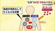 再び猛威を振るう「インフルエンザ」　主役は「B型」　気になる”疑問”に医師が答える