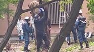 松原神社のクスノキから火 切り株の一部焼く ”自然発火”の可能性含め捜査【佐賀県】