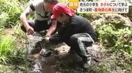 「ホタルについて学ぶ」さつま町で小学生が川の草取りとカワニナ放流　県内有数のホタルの名所を次世代へ　鹿児島・鶴田小の環境学習