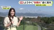静岡県内も秋晴れ 「あまりにもきれいで」日本平夢テラスから眺める富士山の景色を絵に 芝生でのんびり過ごす人も