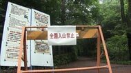 「子グマに襲われた」峠で56歳男性が約10メートル滑落　頭や足にけが　命に別条なし　東京・檜原村