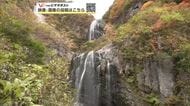「安の滝」周辺の紅葉まもなく見頃　遊歩道の通行止め解除、紅葉狩りのにぎわいに期待　秋田・北秋田市