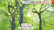 新潟市で80回目の『県展』始まる！日本画・洋画・写真など1000を超える力作ズラリ