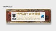 世界初の商品化「完全養殖のウナギのかば焼き」佐伯の水産会社が開発「ゴールではなくスタートライン」大分