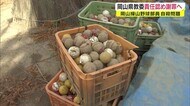 【独自】野球部員自殺から9年 県教委が責任を認め遺族に“直接謝罪”へ 岡山操山高校【岡山・岡山市】