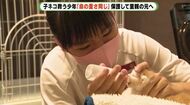 数時間おきにミルクを…子ネコ約140匹の命を助けた少年 保護して新たな飼い主探し【静岡発】