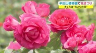 新型コロナの影響で2年ぶりの開催 みどりの日恒例イベント「春の花まつり」【岡山・岡山市】