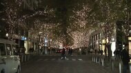 イルミネーション巡り新ツアー プロのガイドと夜景満喫