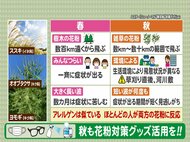 目や鼻がムズムズ…『秋の花粉症』かも ススキ,ブタクサ,ヨモギ等 離れると症状防げる“飛散量多い場所”