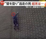 「降りろー！」まるで“スパイダーマン”　高さ10ｍの壁登る男　逃走もむなしく落下…窃盗や危険運転などの容疑で逮捕　イギリス