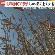 「北の大地に異変」北海道で40℃予想？美幌町で“災害級の暑さ”38.2℃記録！終業式は冷房ない体育館やめリモートに　ついに熱中症による死者も