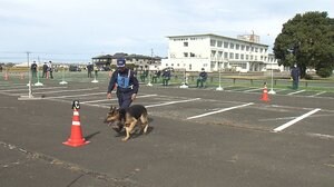 捜索現場で活躍を 嘱託警察犬審査会 ~福井~