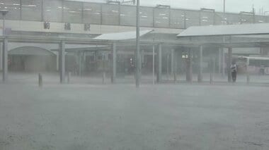 東京ディズニーリゾート周辺でも「動けない」の声…首都圏をゲリラ雷雨が直撃　15日まで…