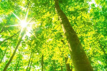 「文明は危機と対峙する中で拓かれる」“モノからデータ”の次世代を慶應大宮田教授が語る