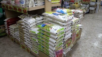 コメ価格下落　農家からは「収穫しない方がいい」の声も　専門家は今年の新米価格「5kg3000円前後」と予想
