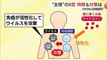 再び猛威を振るう「インフルエンザ」　主役は「B型」　気になる”疑問”に医師が答える