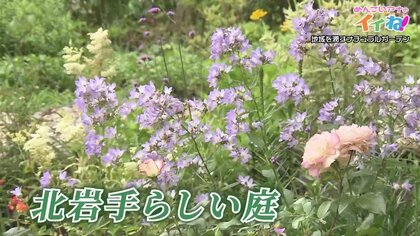 自然とアートの融合した庭園「ニノガーデン」 関東からＵターン“夫婦で作り上げた癒しの庭”【岩手発】