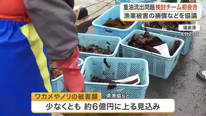 ワカメやノリの被害６億円規模　塩釜港の重油流出で国と宮城県がタスクフォース立ち上げ初会合