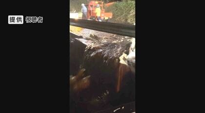 住宅7棟に土砂が流入「玄関出たらザーッと一気に」　道路は川のように…一夜明け“濁流の跡”　27日夜、長野県伊那付近に「記録的短時間大雨」の気象防災速報　県内初の「レベル4」大雨・土砂災害の危険警報も