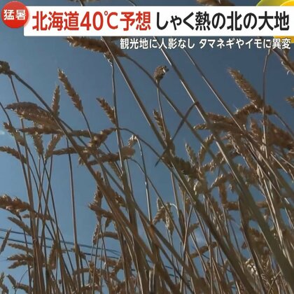 「北の大地に異変」北海道で40℃予想？美幌町で“災害級の暑さ”38.2℃記録！終業式は冷房ない体育館やめリモートに　ついに熱中症による死者も