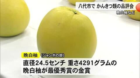 晩白柚など八代地方果実品評会【熊本】