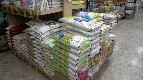 コメ価格下落　農家からは「収穫しない方がいい」の声も　専門家は今年の新米価格「5kg3000円前後」と予想