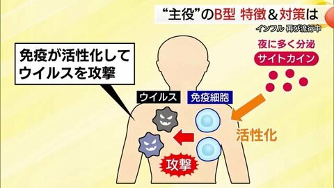 再び猛威を振るう「インフルエンザ」　主役は「B型」　気になる”疑問”に医師が答える