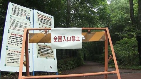 「子グマに襲われた」峠で56歳男性が約10メートル滑落　頭や足にけが　命に別条なし　東京・檜原村
