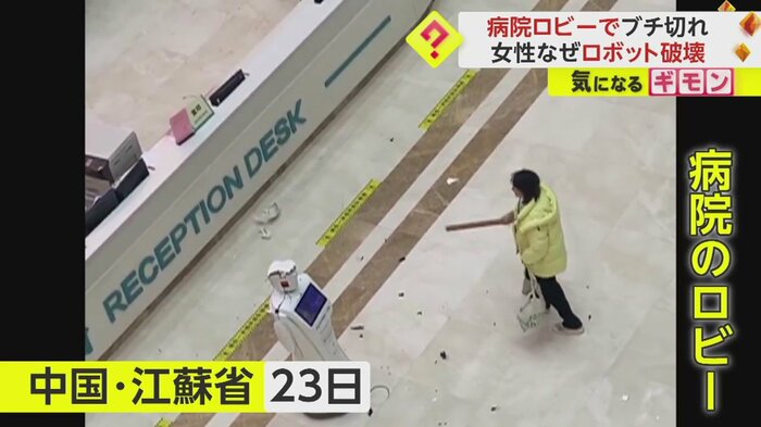(中国SNS)