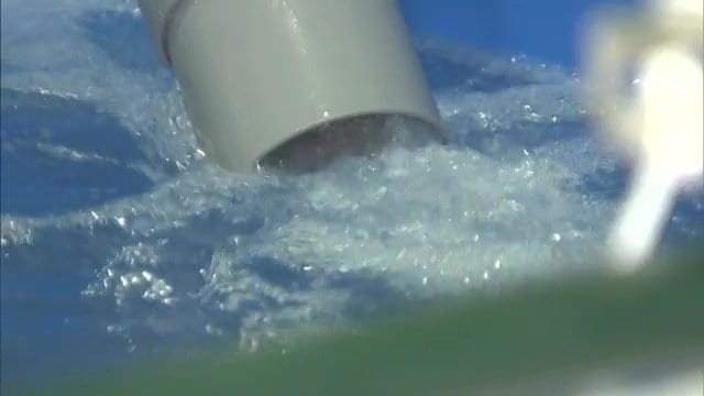 高度な技術でアニサキスフリーな養殖方法を実現