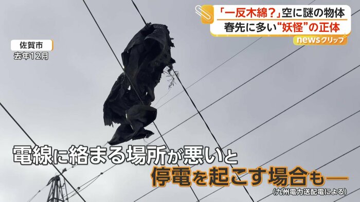 過去には電線に絡まったケースも