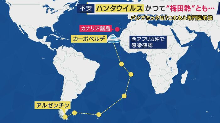 クルーズ船の航路