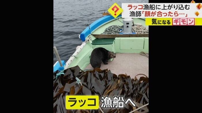 (撮影:根塚一明さん)