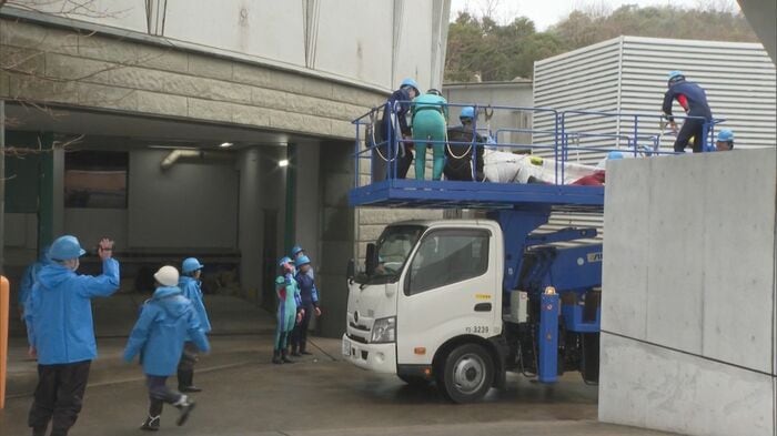 約110メートルの観察用プールへ到着