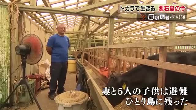 「牛は我が子、生活のすべて」と話す坂元裕幸さん