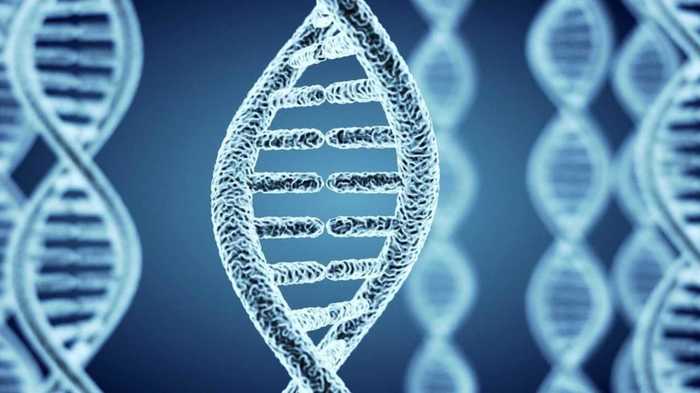 10年後のがん発症確率。予測はどこまで可能か