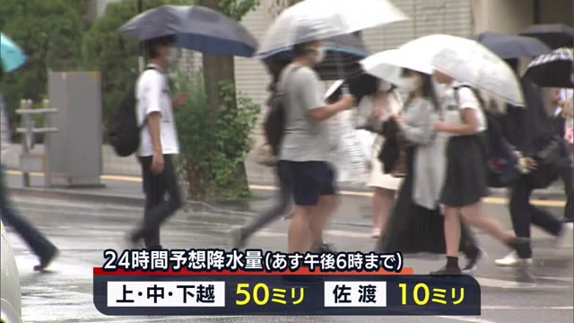あす明け方まで土砂災害に警戒を 県内広い範囲で雨 佐渡では土砂崩れも【新潟】