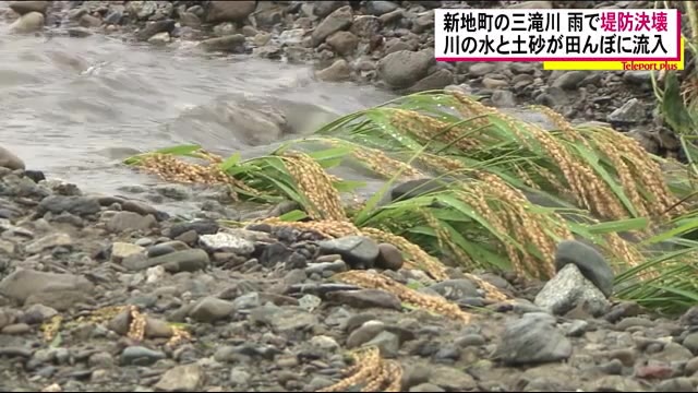 去年の台風で決壊した堤防が再び…9月の観測史上最多の量を記録した新地町では決壊で農業被害<福島県>