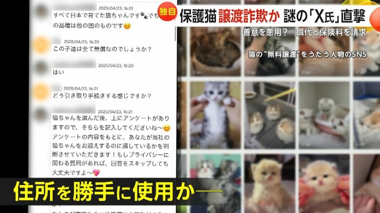 【独自】「子猫を無償譲渡」偽りエサ代と保険料3万円請求するX氏直撃「あなたは礼儀がなく、とても不快です」…勝手に住所使われた無関係の団体「迷惑しています」｜FNNプライムオンライン