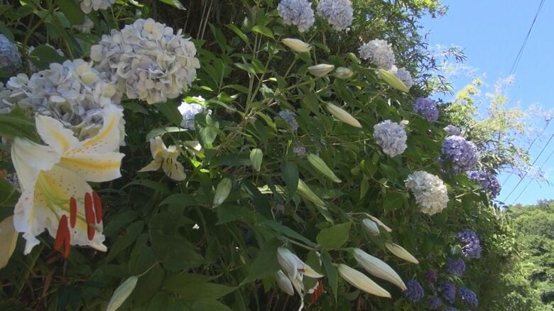 “佐渡島の金山”世界遺産登録から1年　新たな試み・環境保全…より一層のにぎわいへ島の魅力に磨きかける！新潟｜FNNプライムオンライン