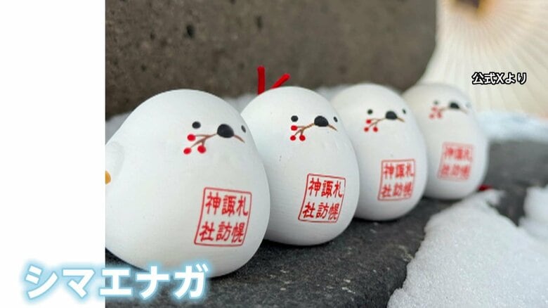 札幌市の神社で“シマエナガおみくじ”頒布スタート！きょう限定の御朱印も　「大寒」の20日は「シマエナガの日」｜FNNプライムオンライン