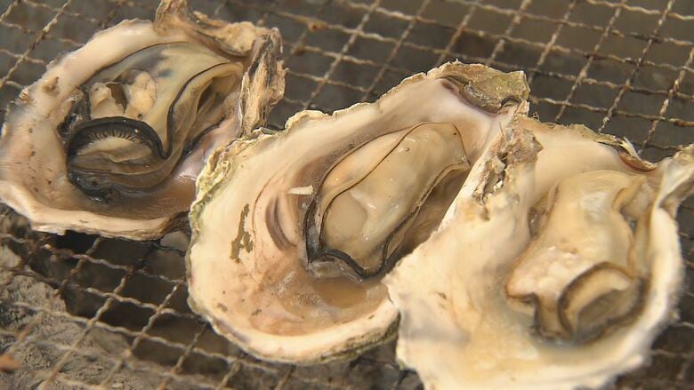 「ぷりぷりしておいしい」能登特産カキ販売　地震で港などが大きな被害　炊き出しなど続けてきた長野市の飲食店が「食べて支援を」と開催｜FNNプライムオンライン