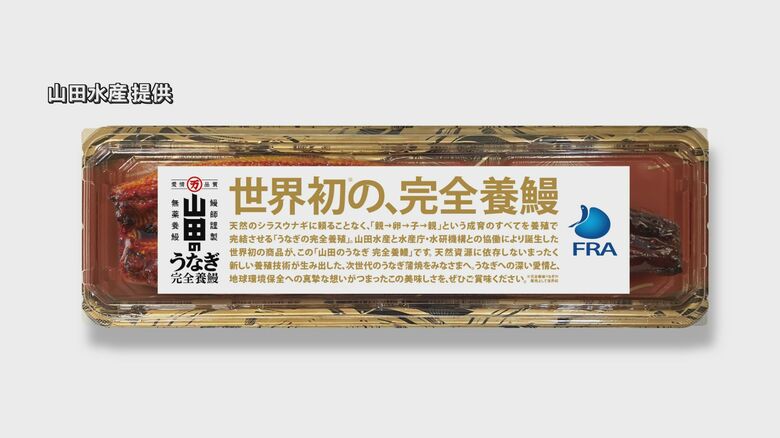 世界初の商品化「完全養殖のウナギのかば焼き」佐伯の水産会社が開発「ゴールではなくスタートライン」大分｜FNNプライムオンライン